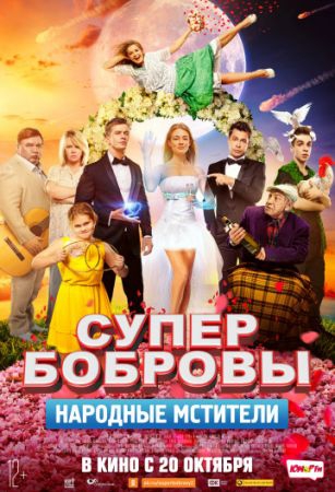  Фильм СуперБобровы. Народные мстители