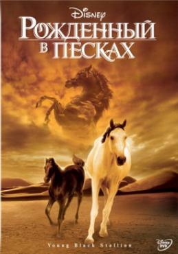  Фильм Рожденный в песках