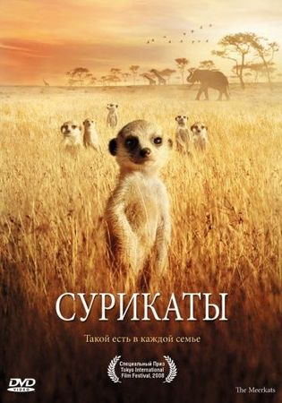 Смотреть фильм Сурикаты