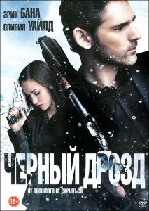 Черный дрозд