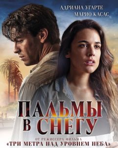 Пальмы в снегу